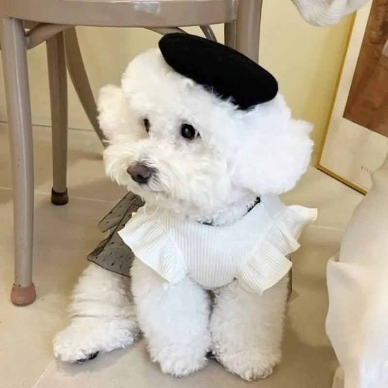 Princess Style Dog Dresses Summer Dog Clothes Sweet Puppy Wedding Skirt Fashion Cat Vest Soft Pet Costumes Chihuahua Dog Vest 9E0