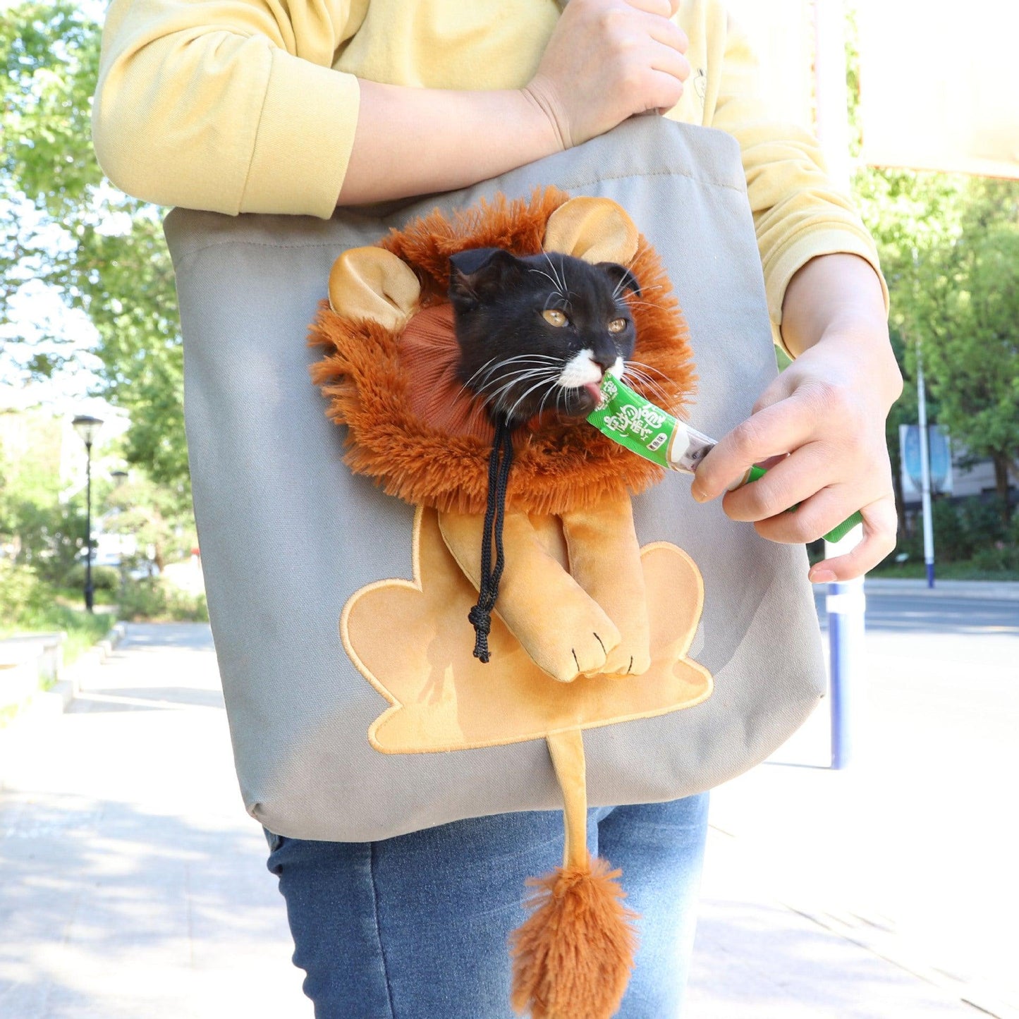 Lion Mane Head-Out Sling Carrier — Portable, Breathable & Stylish for Travel